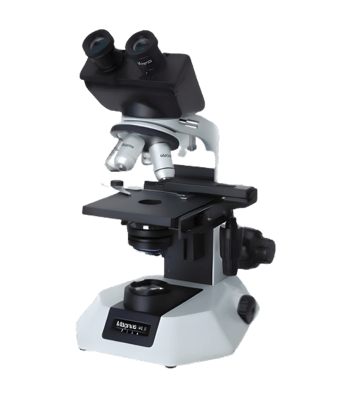 Binocular Microscope