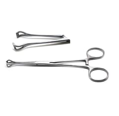 6 - 1/4 Inch Babcock Forceps