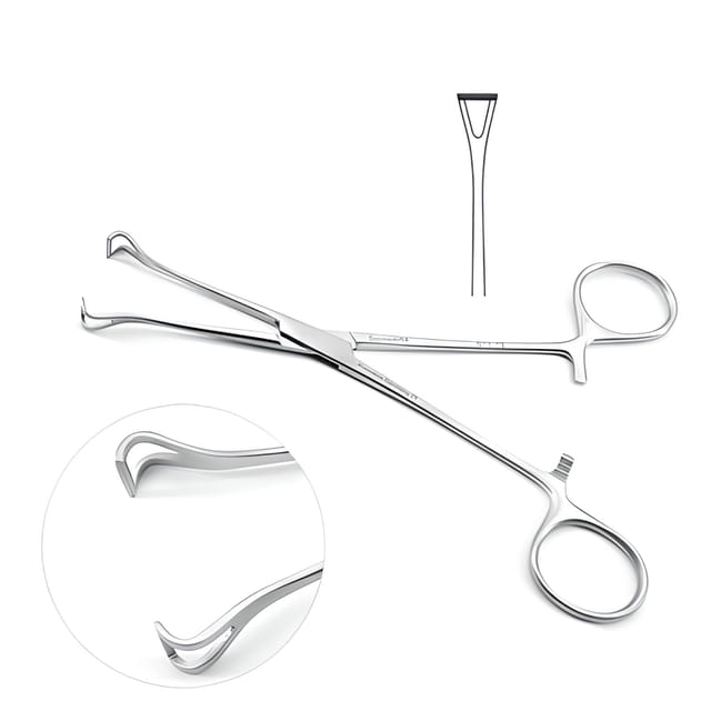 6 - 1/4 Inch Babcock Forceps