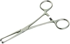 8 Inch 5x6 Teeth Allis Forceps Straight