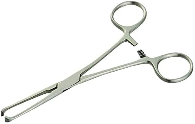 8 Inch 5x6 Teeth Allis Forceps Straight