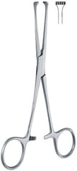 6 Inch  4x5 Teeth Allis Forceps Straight