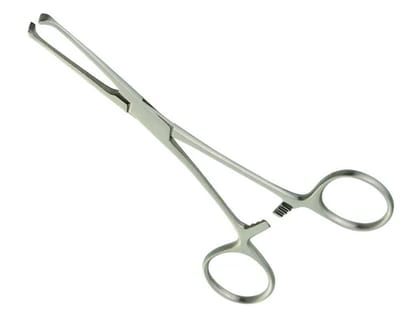 6 Inch  4x5 Teeth Allis Forceps Straight