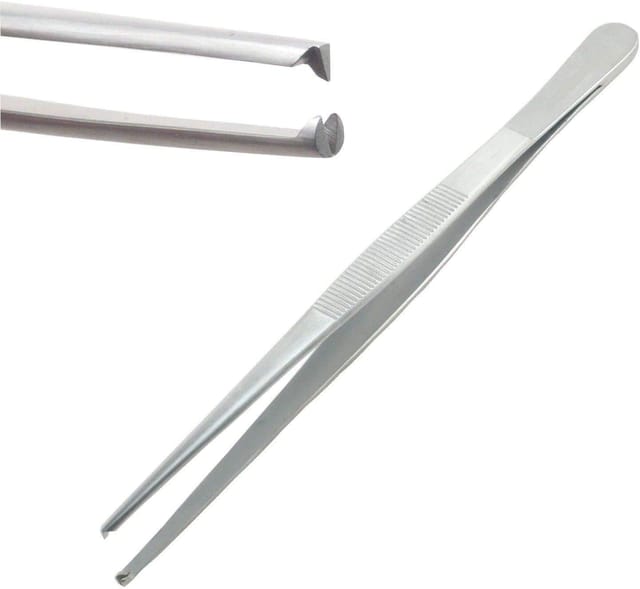 6 Inch 1x2 Teeth Dissecting Forceps